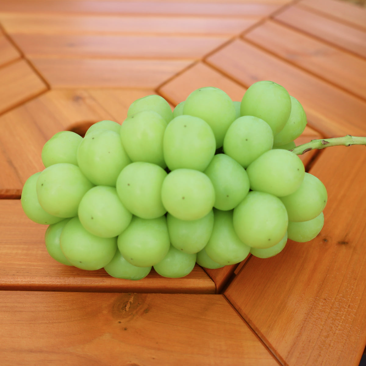 贈答用シャインマスカット 3キロ