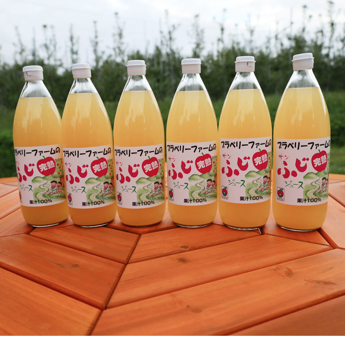 【6本セット】100%りんごジュース 1000ml