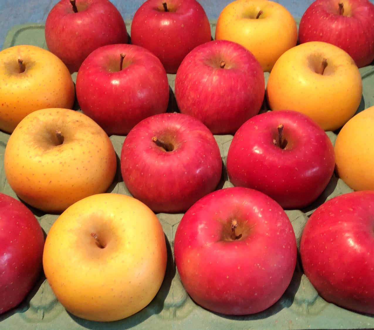 りんご - シナノゴールド – ブラベリーファーム